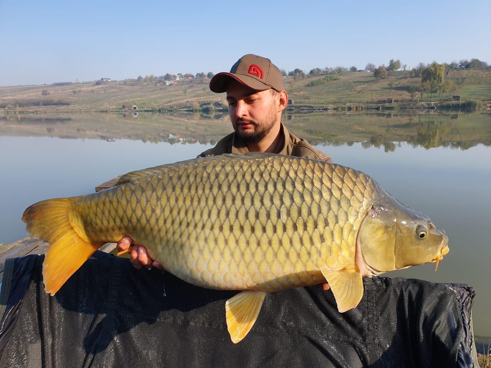 Păușești - img-20191020-wa0038.jpg